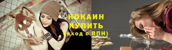 спиды Горно-Алтайск