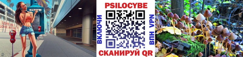 Псилоцибиновые грибы Cubensis  Купить  Карабулак 